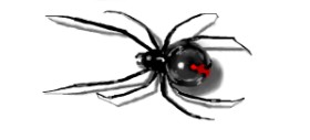 Drawing of Spider by Debidolittle
