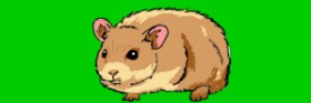 ThasMe13 の ハムスター の絵