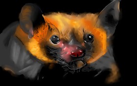 Šišmiš - autor: Edgar