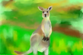 Abbie の カンガルー の絵