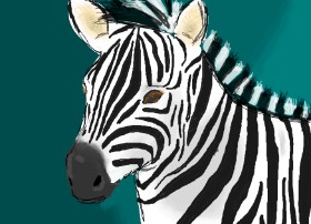 Zebra-Zeichnung von green