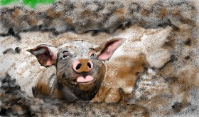 Drawing of Pig by Çhåching