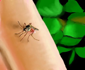 Рисунок на тему «Комар» — автор: IThinkWereDoomed