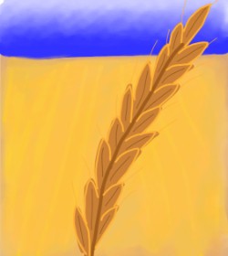 Drawing of Wheat by Hunter
