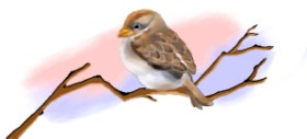 Debidolittle の スズメ の絵