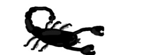 Drawing of Scorpion by Jennalyn