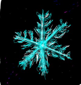 YZee の 雪の結晶 の絵