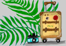 Drawing of Suitcase by Debidolittle