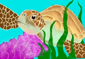 Drawing of Sea turtle by Debidolittle
