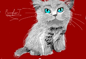 Рисунок на тему «Котенок» — автор: roserocket