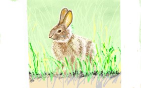 GJP の ウサギ の絵