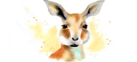 DebbyLee の カンガルー の絵