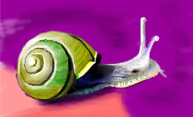 Herbert の カタツムリ の絵