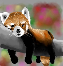 Яandi の レッサーパンダ の絵