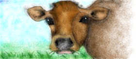 Drawing of Cow by Anastasia