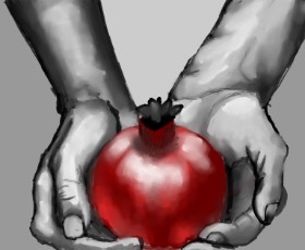 Drawing of Pomegranate by ImagineBastille