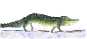 Karlin の アリゲーター の絵