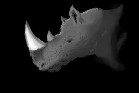Stegosaurus の サイ の絵