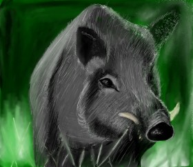 Рисунок на тему «Дикий кабан» — автор: Lou