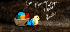 Drawing of Easter chick by Çhåching