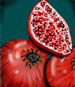Drawing of Pomegranate by 🌌Mom💕E🌌