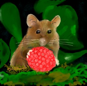 Drawing of Mouse by TedsNan