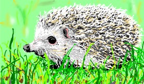 Drawing of Hedgehog by Flowerpot