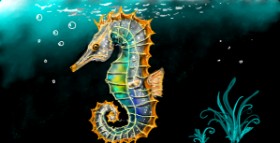 Drawing of Seahorse by Eclat de Lune