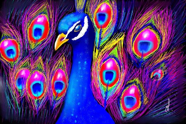 Pfau-Zeichnung von OLGI 🌺