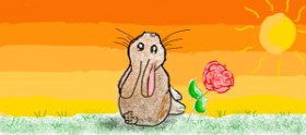 coconut の ウサギ の絵
