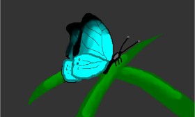 Drawing of Butterfly by Patapow2000