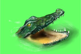 Aligator - autor: Jan