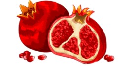 Drawing of Pomegranate by chipichipi chapachapa