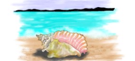 DebbyLee の 貝殻 の絵