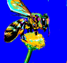 Drawing of Bee by TheKroner