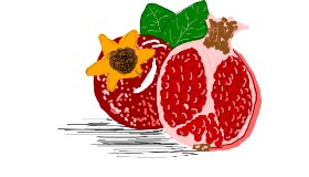 i bims の ザクロ の絵