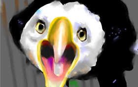 Herbert の ワシ の絵