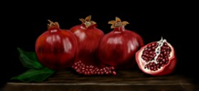 Drawing of Pomegranate by Çhåching