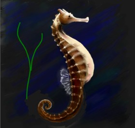 Andromeda の タツノオトシゴ の絵