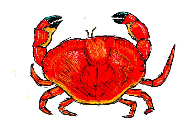 Drawing of Crab by lenny