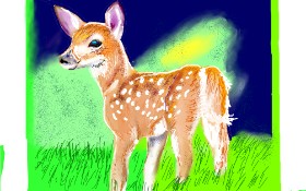 Drawing of Deer by GJP