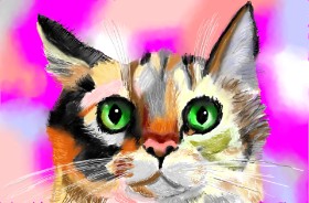 Wizard の 猫 の絵