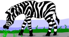 Zebra-Zeichnung von Swimmer 