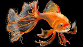 SAM AKA MARGARET 🙄 の 魚 の絵