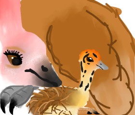 Drawing of Ostrich by Intern