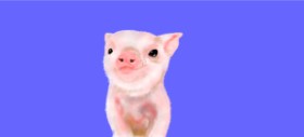 Drawing of Pig by Kim