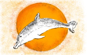 Lsk の イルカ の絵
