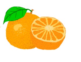 Boople の オレンジ の絵