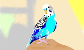 Notbob27  の 鳥 の絵