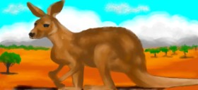 Debidolittle の カンガルー の絵